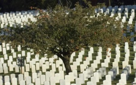 Mulher é enterrada viva em cemitério após encontro com coveiro