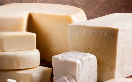 PRF retira de circulação 420 kg de queijo transportado de forma irregular e sem comprovação fiscal