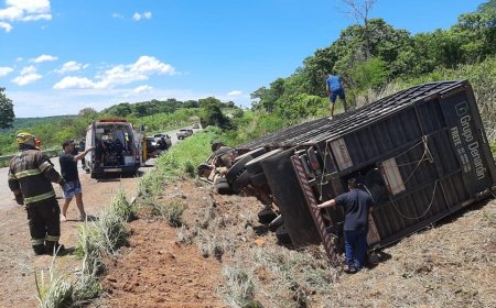 Caminhão com 75 bois tomba e motorista fica preso às ferragens