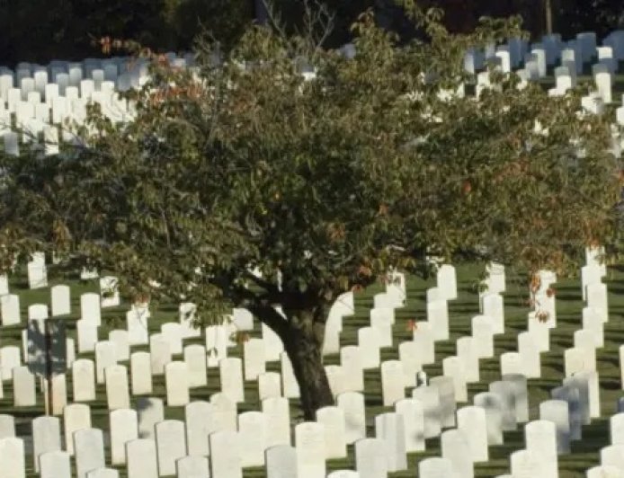 Mulher é enterrada viva em cemitério após encontro com coveiro