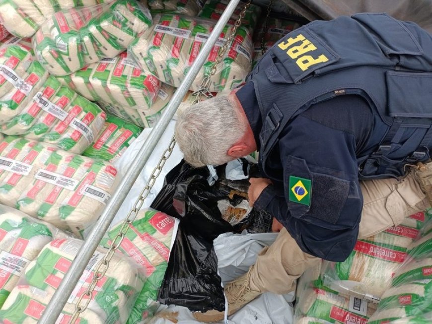 PRF apreende mais de 3 toneladas de maconha escondidas sob carga de arroz no Paraná