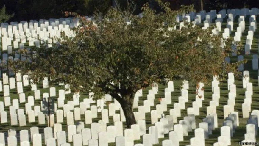 Mulher é enterrada viva em cemitério após encontro com coveiro