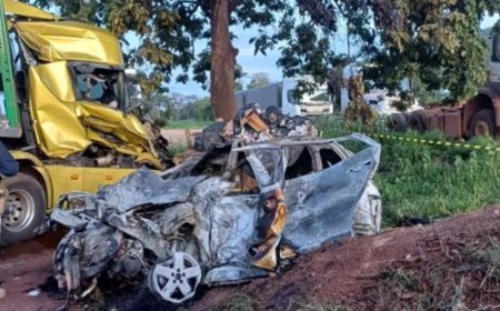 Acidente com caminhão-cegonha mata 4 pessoas da mesma família