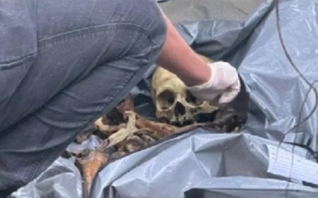 Ossada humana é encontrada em área de mata