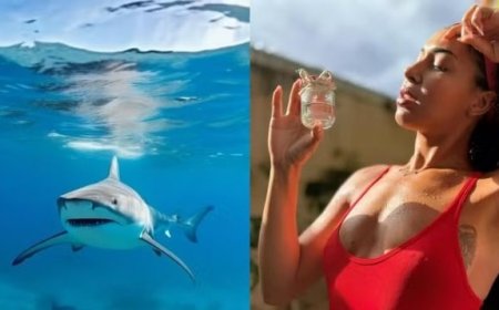 Influenciadora gera repercussão ao vender suor pós-treino para nadar com tubarões