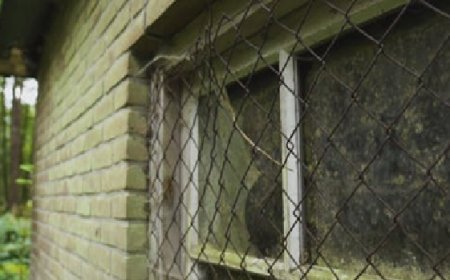 Quatro homens são encontrados mortos dentro de casa