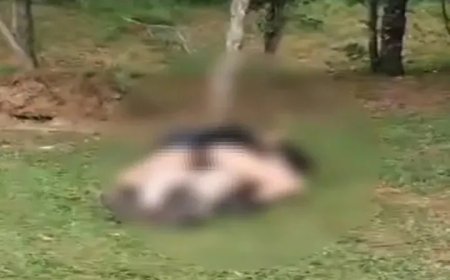 Momento íntimo em parque revolta famílias e Guarda Municipal é chamada