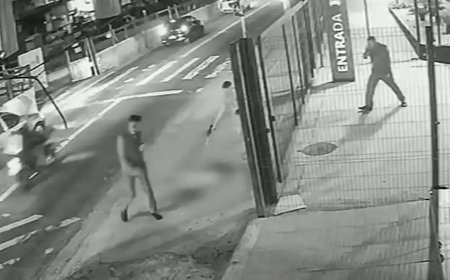 Cachorro é morto com dez tiros em frente a ponto de ônibus