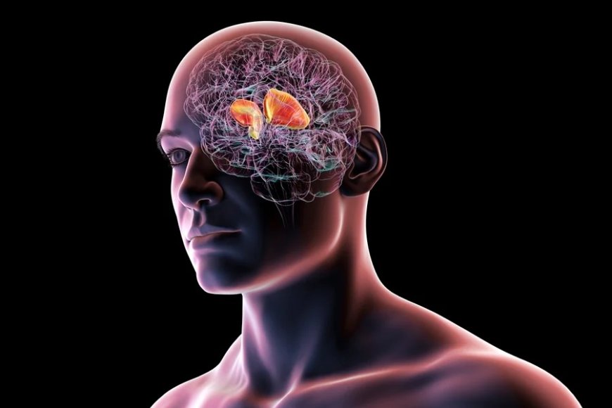 Neurocirurgião cita como o chá e o café ajudam a reduzir risco de AVC