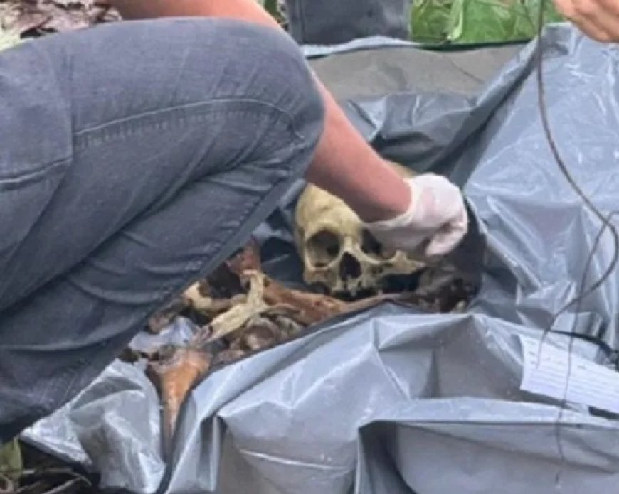 Ossada humana é encontrada em área de mata