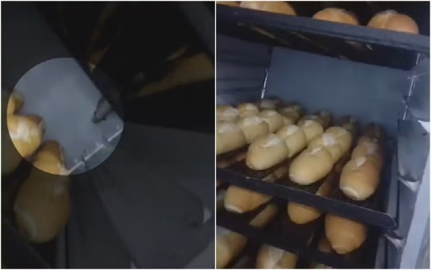 Empresário é preso após rato ser filmado andando sobre pães em supermercado