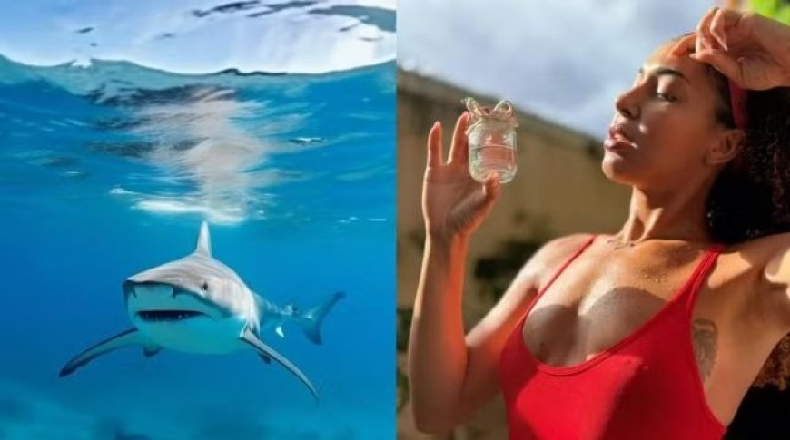 Influenciadora gera repercussão ao vender suor pós-treino para nadar com tubarões