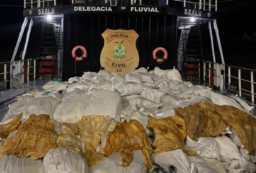 PC-AM apreende 12 toneladas de pirarucu seco em embarcação