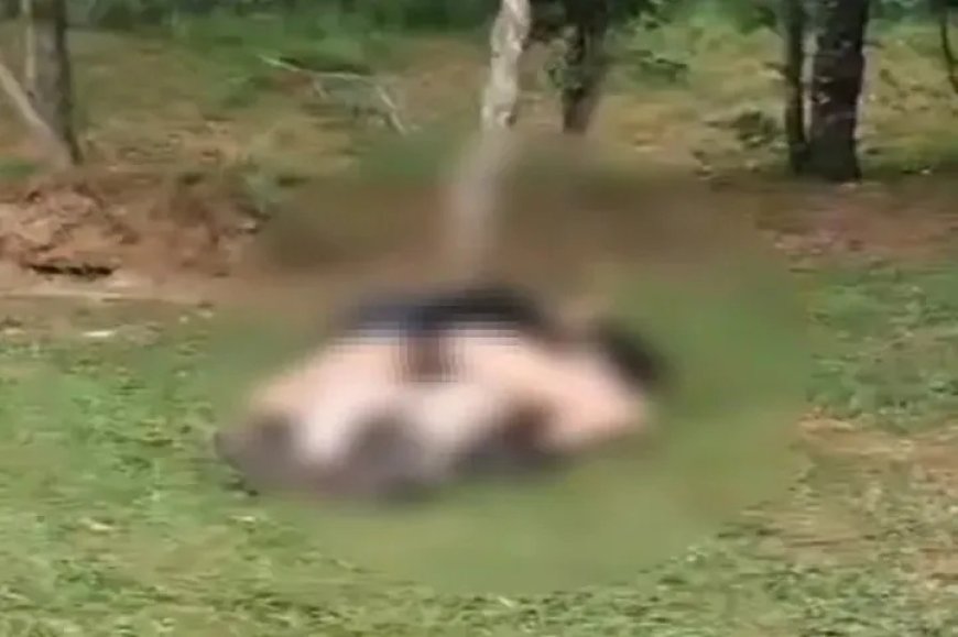 Momento íntimo em parque revolta famílias e Guarda Municipal é chamada