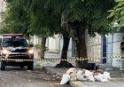 Assassinos escolhem porta de escola para incinerar corpo de mulher dentro de mala