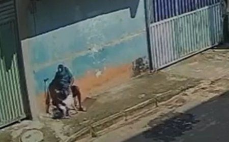 Homem é preso por abusar de cadela em via pública