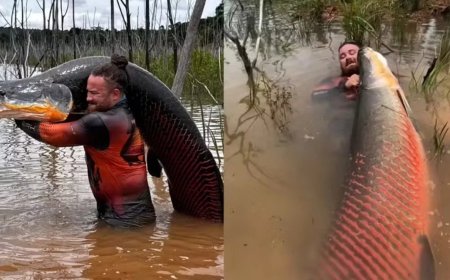 VÍDEO: biólogo pesca peixe de mais de 2 metros em rio