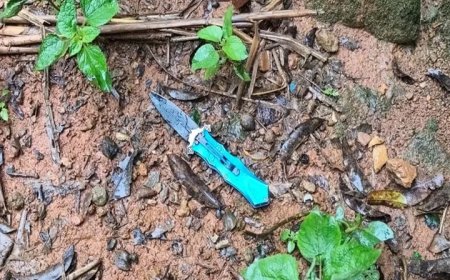 Criança de 8 anos assiste mãe ser retalhada por canivete após negar beijo a vizinho