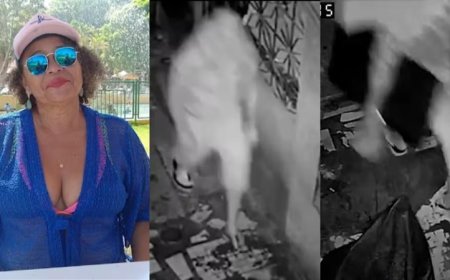 VIDA POR UMA TV: Feminicida mata idosa e foge carregando televisor da vítima