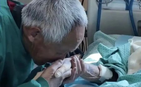 Idoso viaja 12h por dia durante 105 dias para visitar esposa na UTI