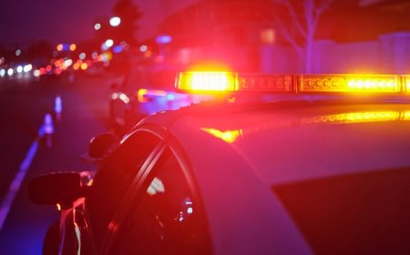 Horripilante: homem é devorado por 11 cães após morrer em apartamento