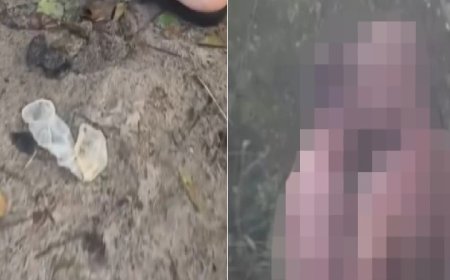 Escândalo em praia famosa: trilhas viram palco de sexo coletivo e deixam rastro de destruição