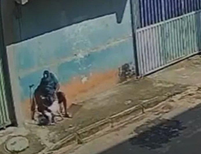 Homem é preso por abusar de cadela em via pública