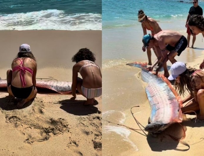 Juízo final? Dois peixes de espécie rara aparecem em praia do México