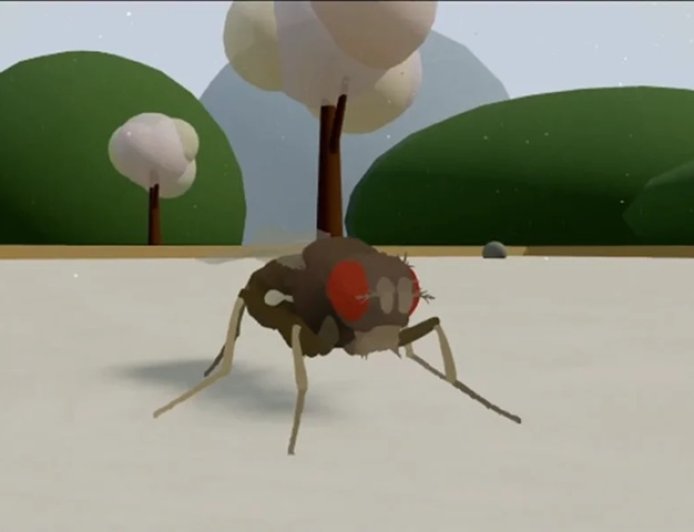 O Fim da Morte? Cientistas emulam cérebro de mosca em computador e abrem porta para imortalidade digital