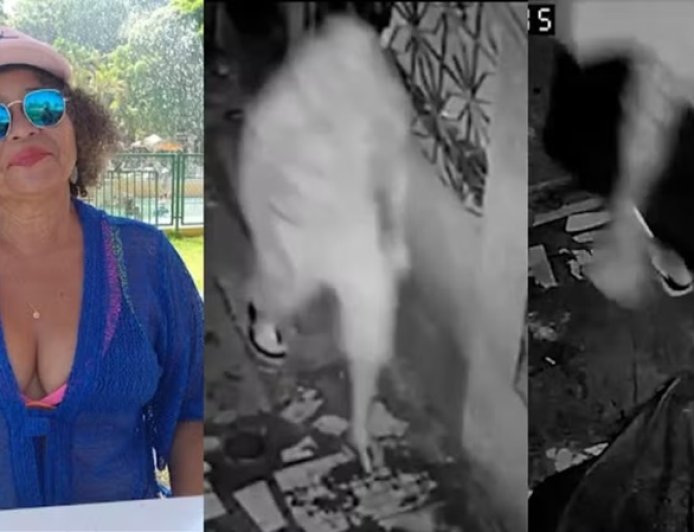 VIDA POR UMA TV: Feminicida mata idosa e foge carregando televisor da vítima