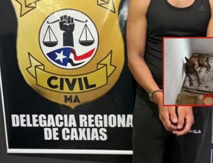 Homem é preso por abusar de cadela e vender conteúdos de zoofilia