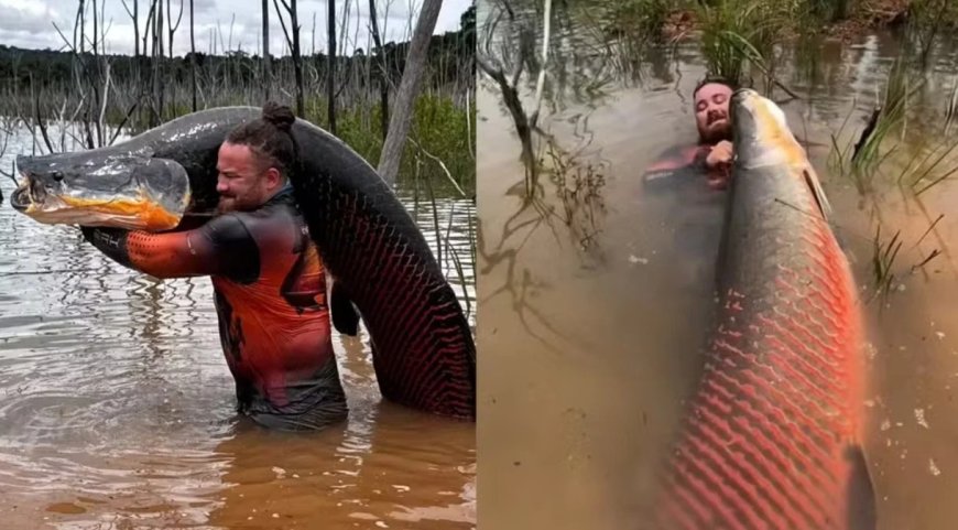 VÍDEO: biólogo pesca peixe de mais de 2 metros em rio