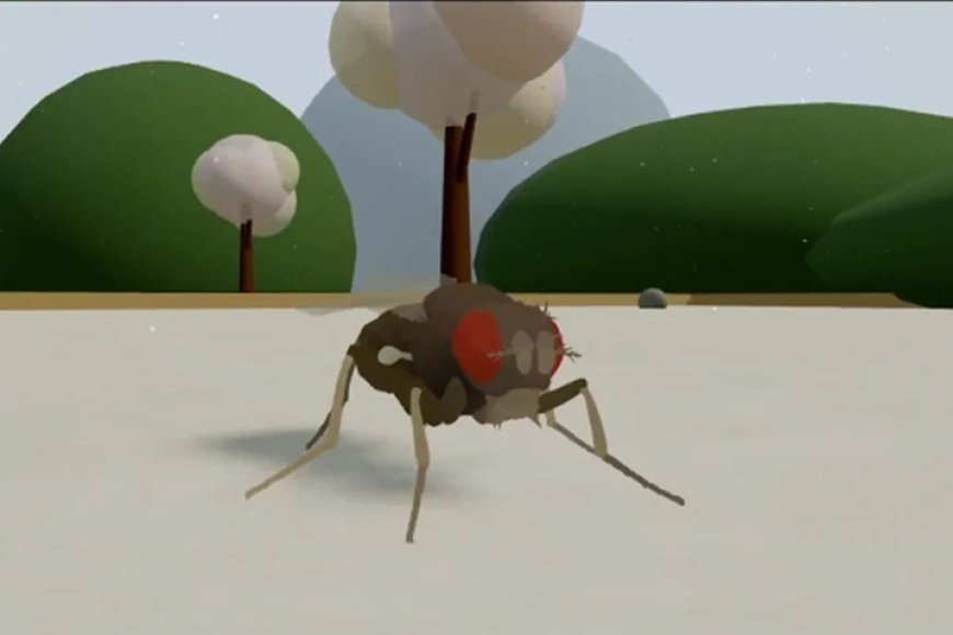 O Fim da Morte? Cientistas emulam cérebro de mosca em computador e abrem porta para imortalidade digital