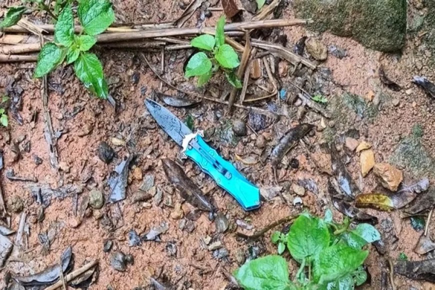 Criança de 8 anos assiste mãe ser retalhada por canivete após negar beijo a vizinho