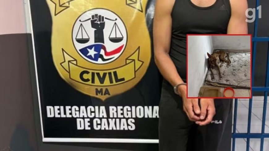 Homem é preso por abusar de cadela e vender conteúdos de zoofilia