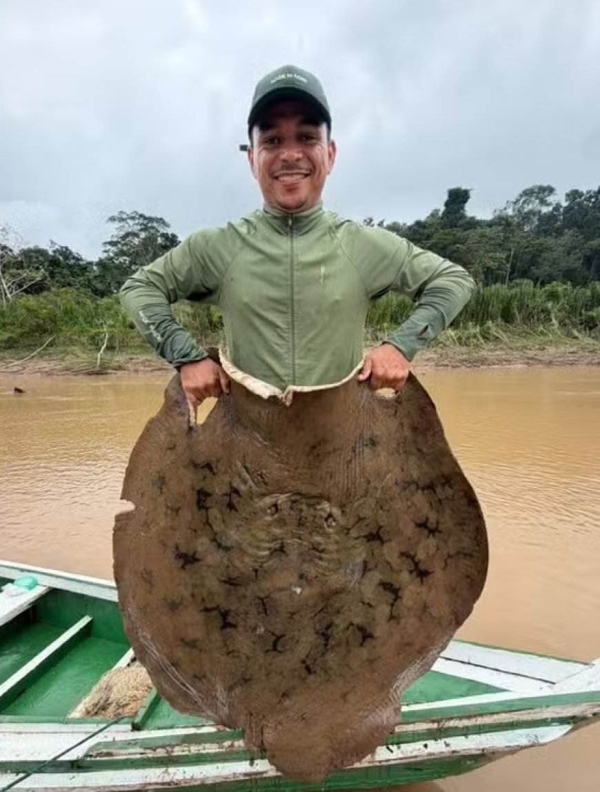 Pescador fisga arraia gigante de até 100 kg no Rio Acre e vídeo viraliza