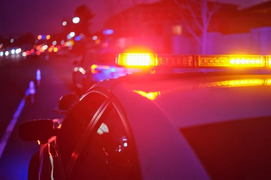 Horripilante: homem é devorado por 11 cães após morrer em apartamento