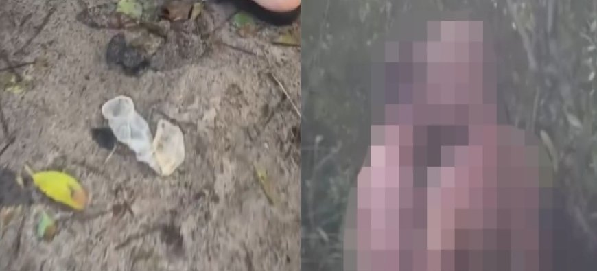 Escândalo em praia famosa: trilhas viram palco de sexo coletivo e deixam rastro de destruição