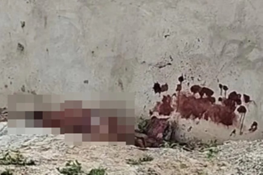 Homem em fúria mata desafeto e alega: “Filmou minha mulher no banho”