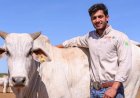 Mistério e Luto: Jovem empresário é encontrado morto em fazenda apenas duas semanas após celebrar noivado