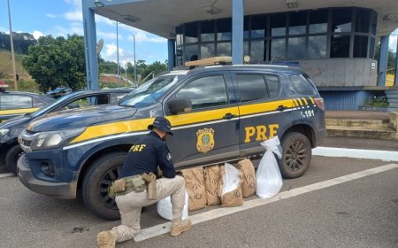 PRF prende homem e apreende cocaína avaliada em mais de R$ 12 milhões na BR-381