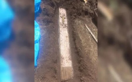 2 reais ou um caixão misterioso? Homem tenta fazer horta em casa alugada e encontra um caixão