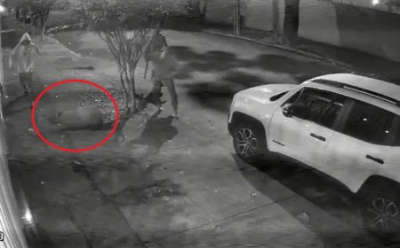 MP denuncia seis homens por tortura contra capivara; Multa ultrapassa de 44 mil