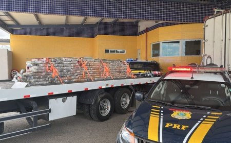 PRF apreende 1,9 tonelada de maconha no teto de caminhão frigorífico