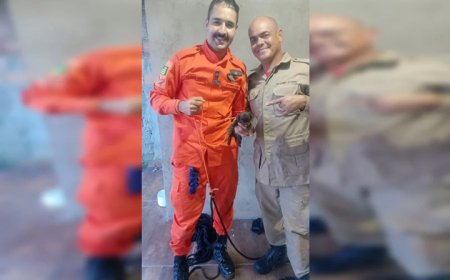Final Feliz: Bombeiros lutam por 40 minutos e salvam filhote preso em fossa
