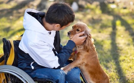 Empresa oferece até R$ 5 mil por hora para cheirar e “beijar” cães