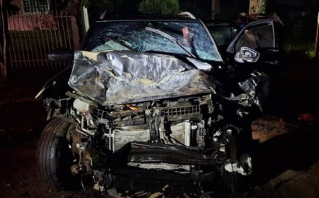 Cinco mortos e um preso: Família com duas crianças e amigo morrem em acidente