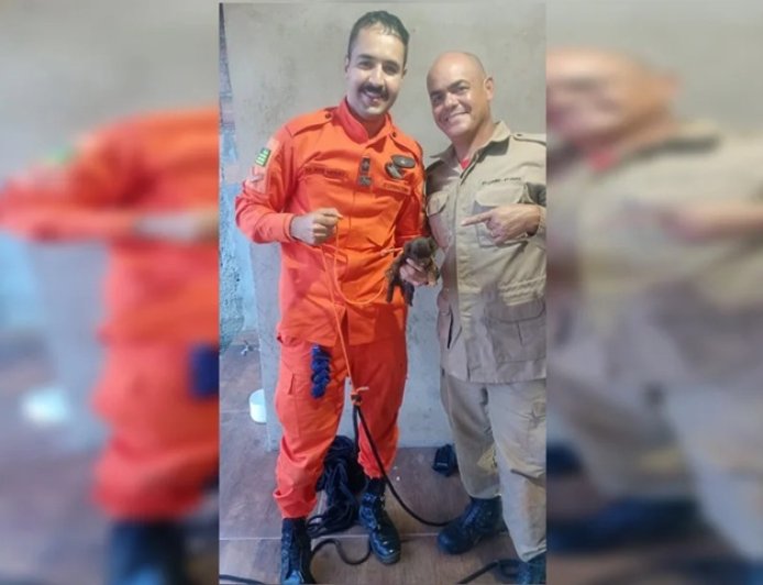 Final Feliz: Bombeiros lutam por 40 minutos e salvam filhote preso em fossa