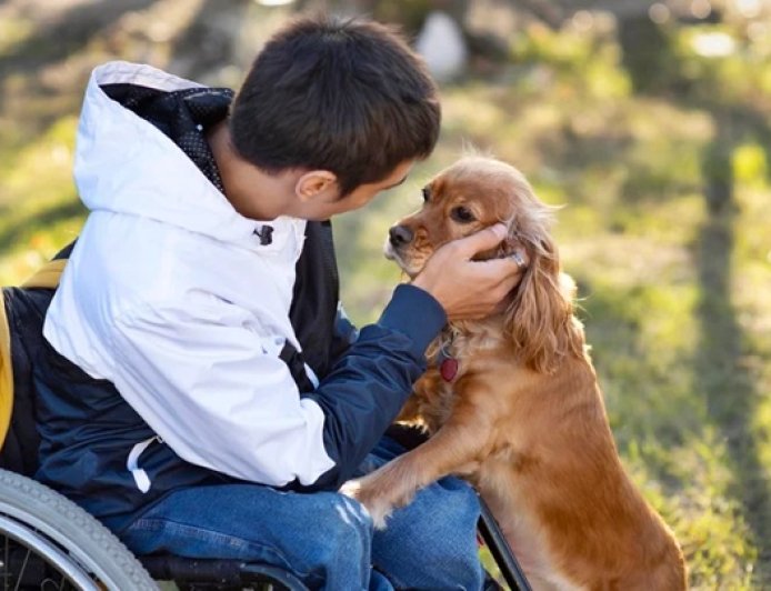 Empresa oferece até R$ 5 mil por hora para cheirar e “beijar” cães