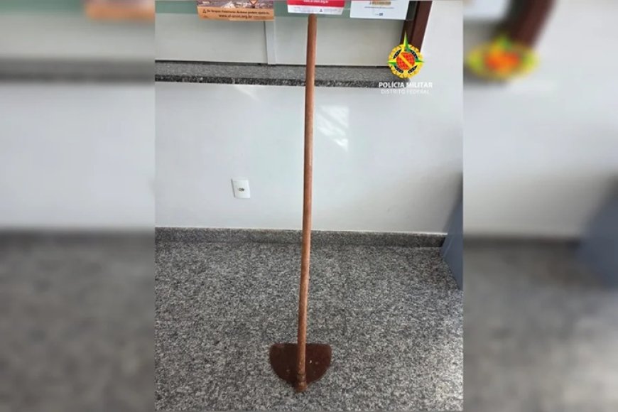 Terror na sala de aula: Adolescente tenta matar coordenador com enxada